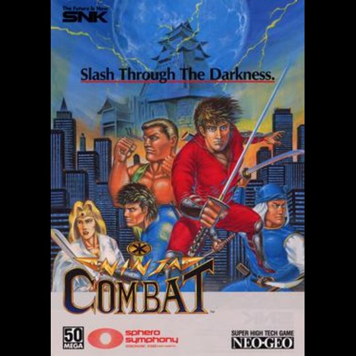Ninja Combat
