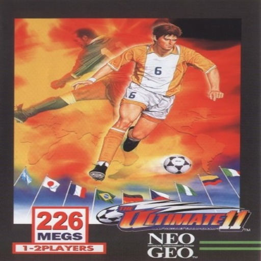 Super Sidekicks 4